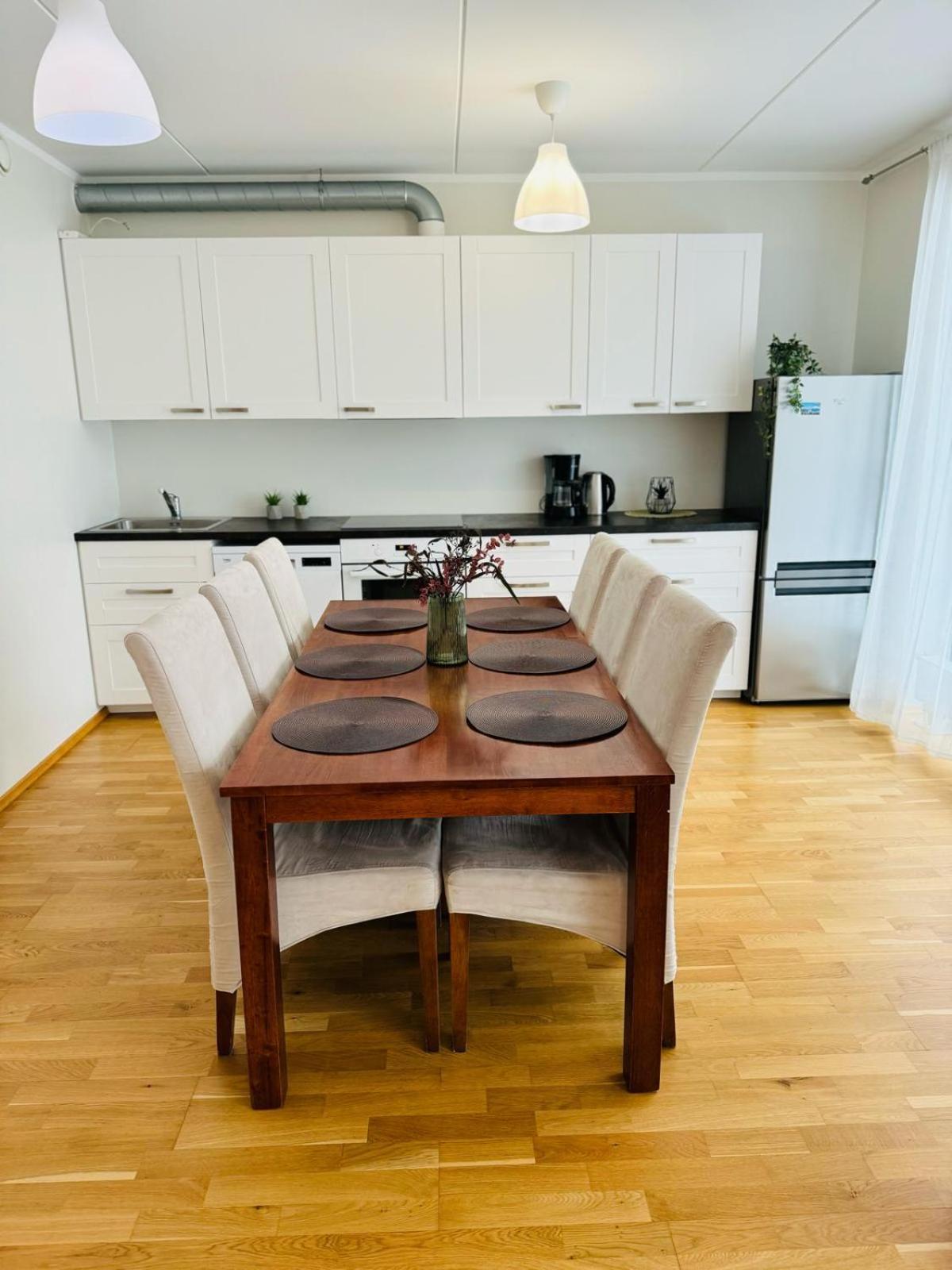 Raatuse 85 Deluxe Apartments タルトゥ エクステリア 写真