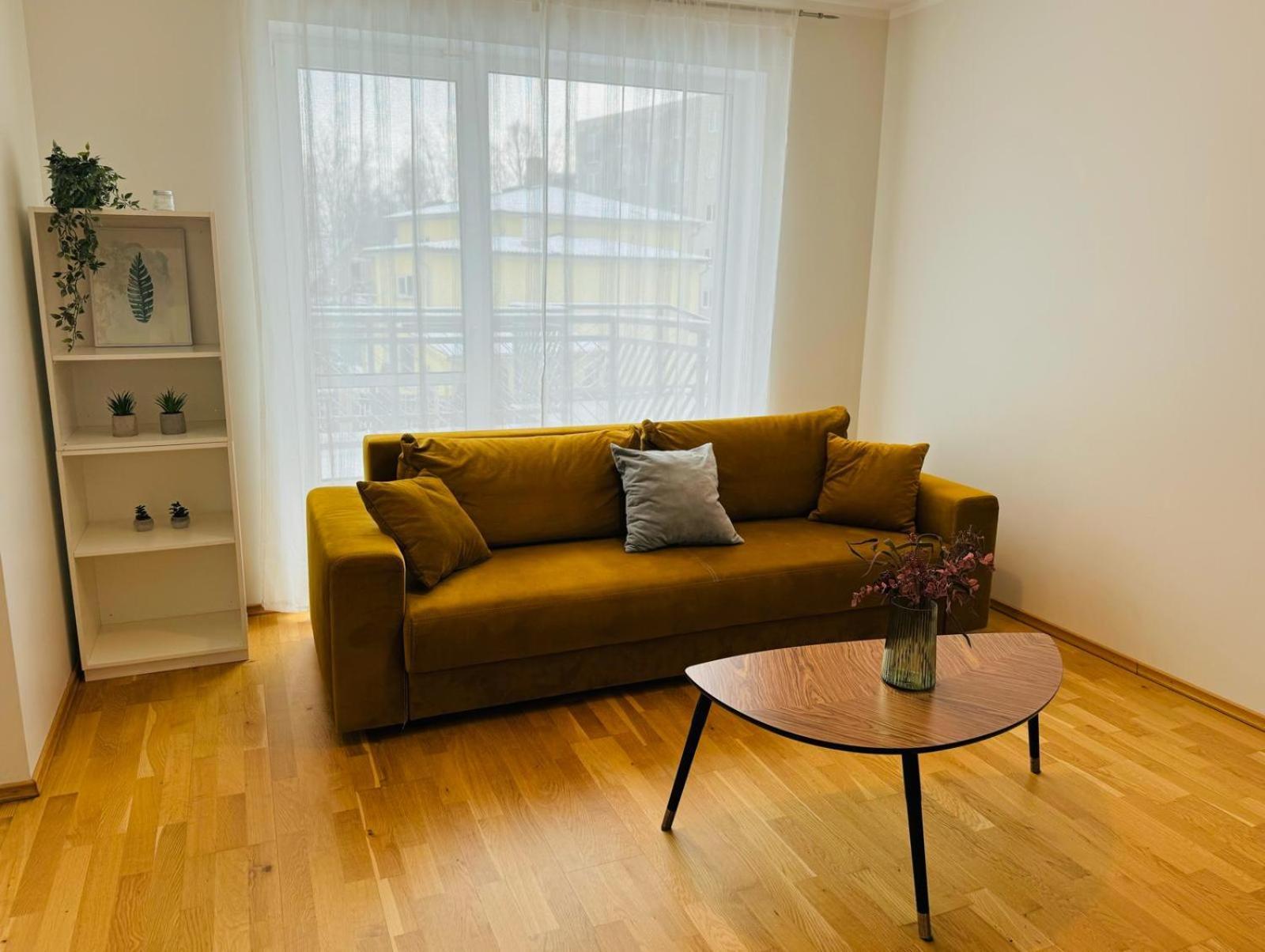 Raatuse 85 Deluxe Apartments タルトゥ エクステリア 写真