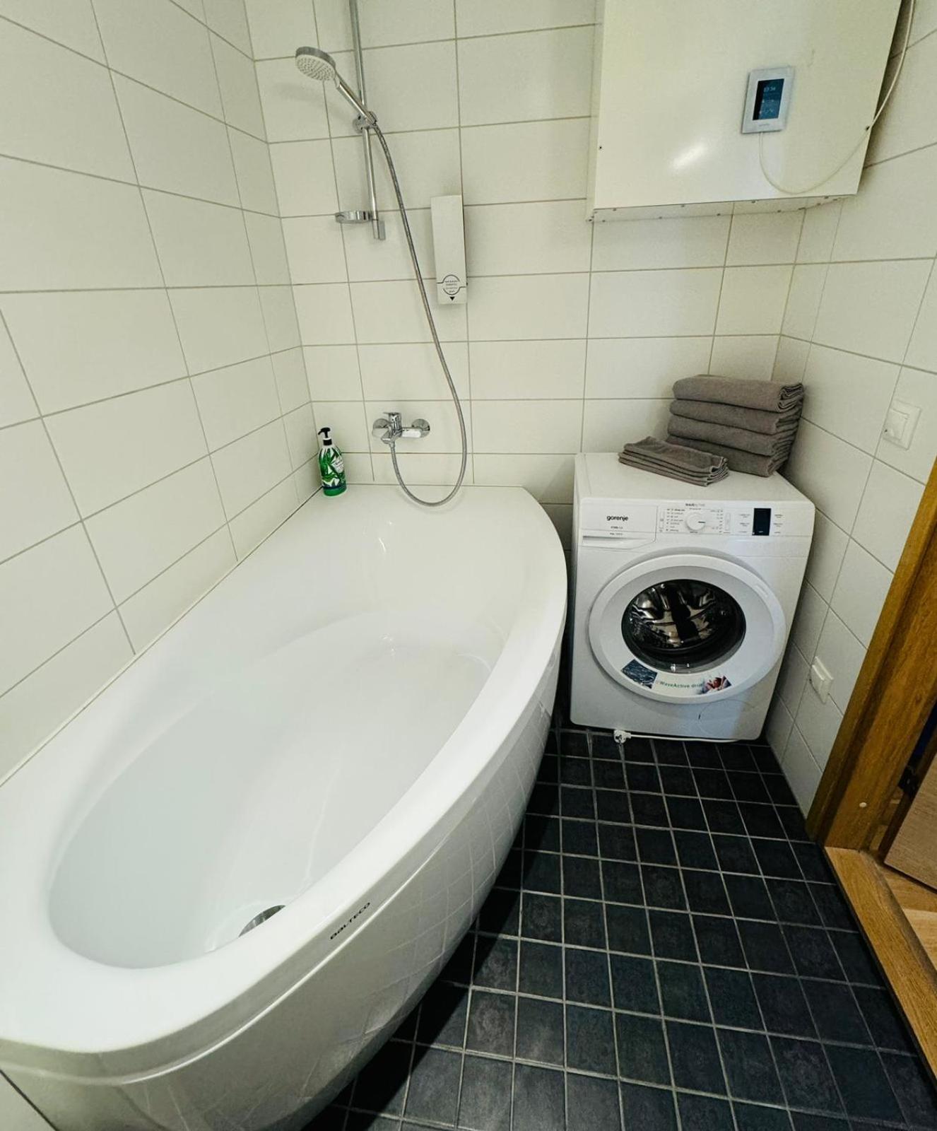 Raatuse 85 Deluxe Apartments タルトゥ エクステリア 写真